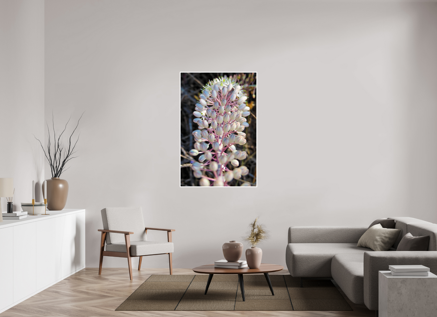 Discover the Resilient Beauty of the Coast: "Sea Squill" - photo print