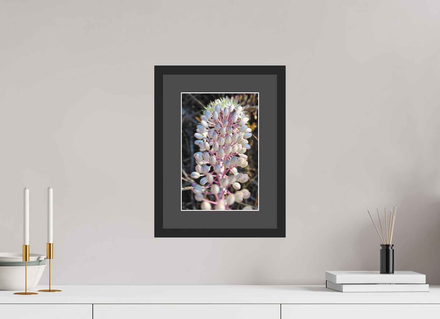 Sea Squill - photo print