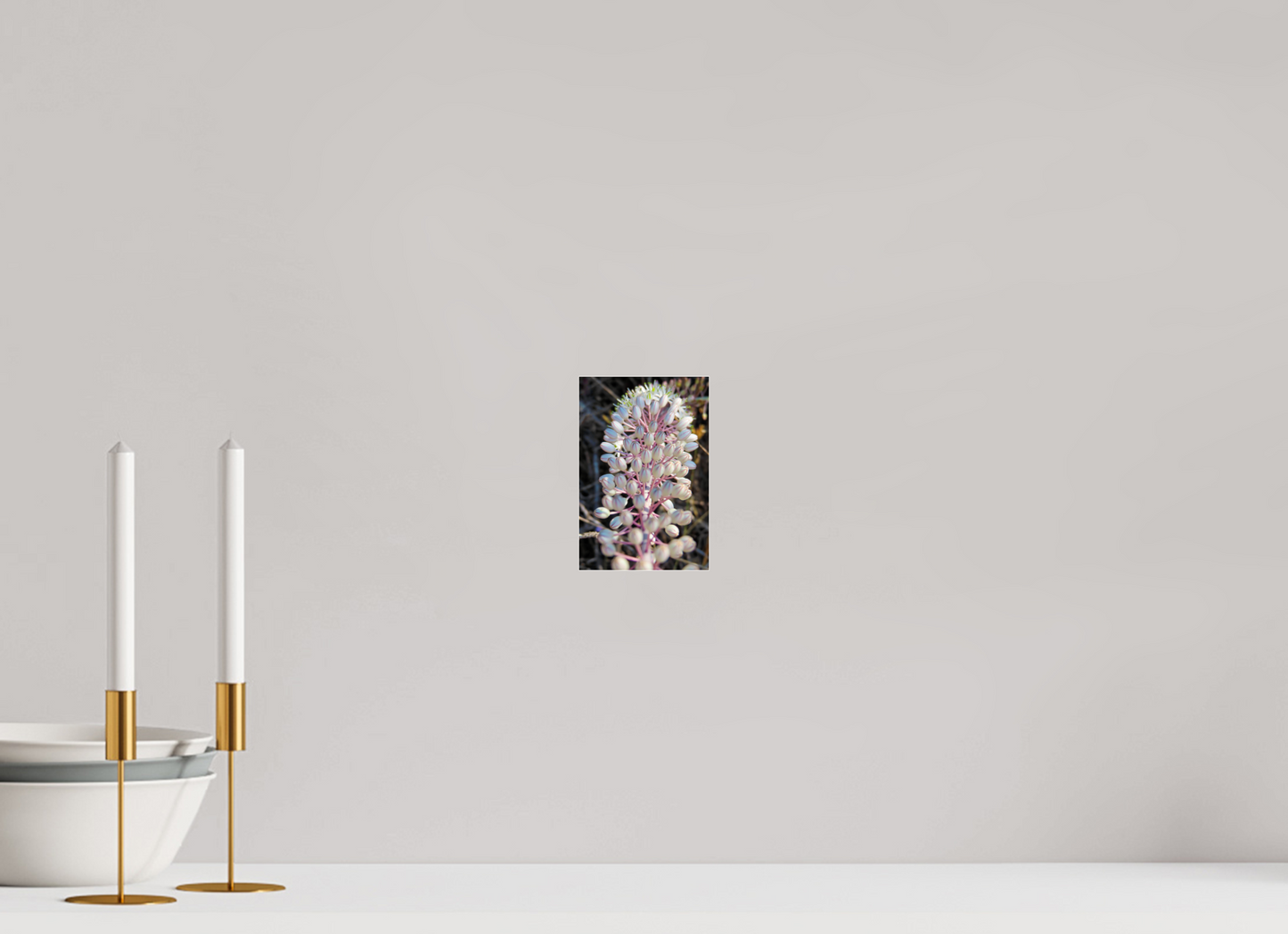 Discover the Resilient Beauty of the Coast: "Sea Squill" - photo print