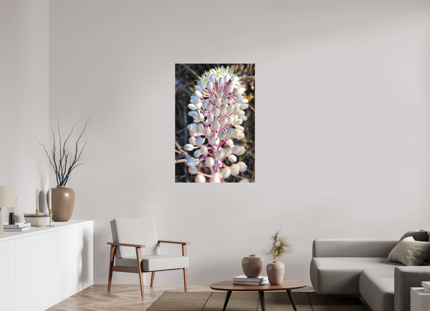 Sea Squill - photo print