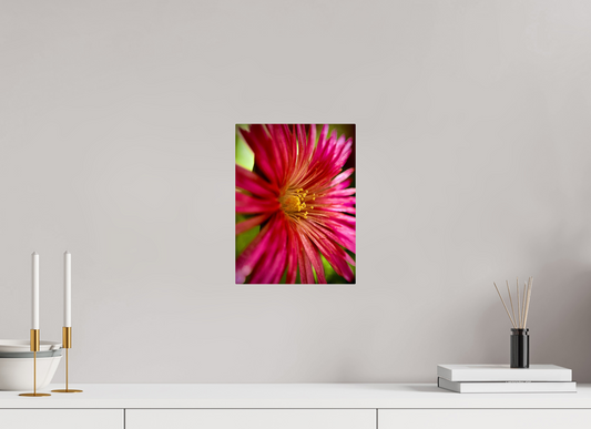 9 x 12″, ChromaLuxe HD Metal Print Witness the Ephemeral Art of Winter: "Close-up Trailing Ice Flower" - photo print