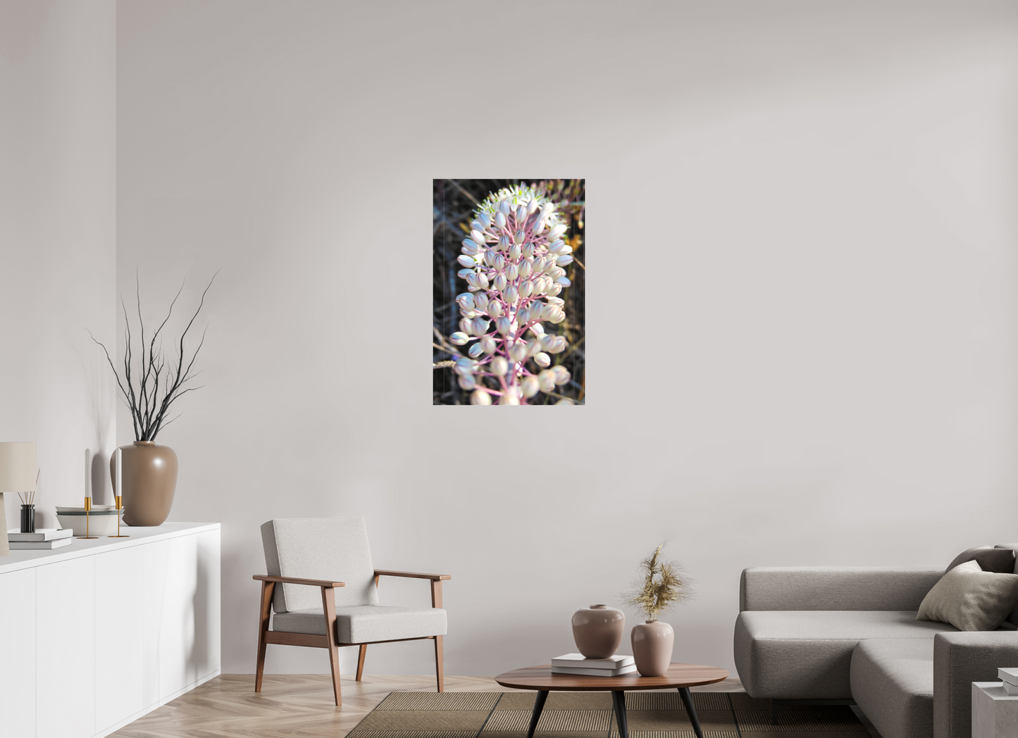 Sea Squill - photo print