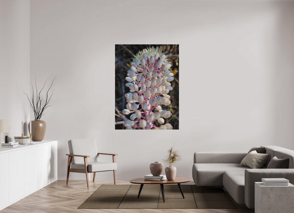 45 x 60″, Print for Outdoors Photo print of "Sea Squill" by Luvinans.