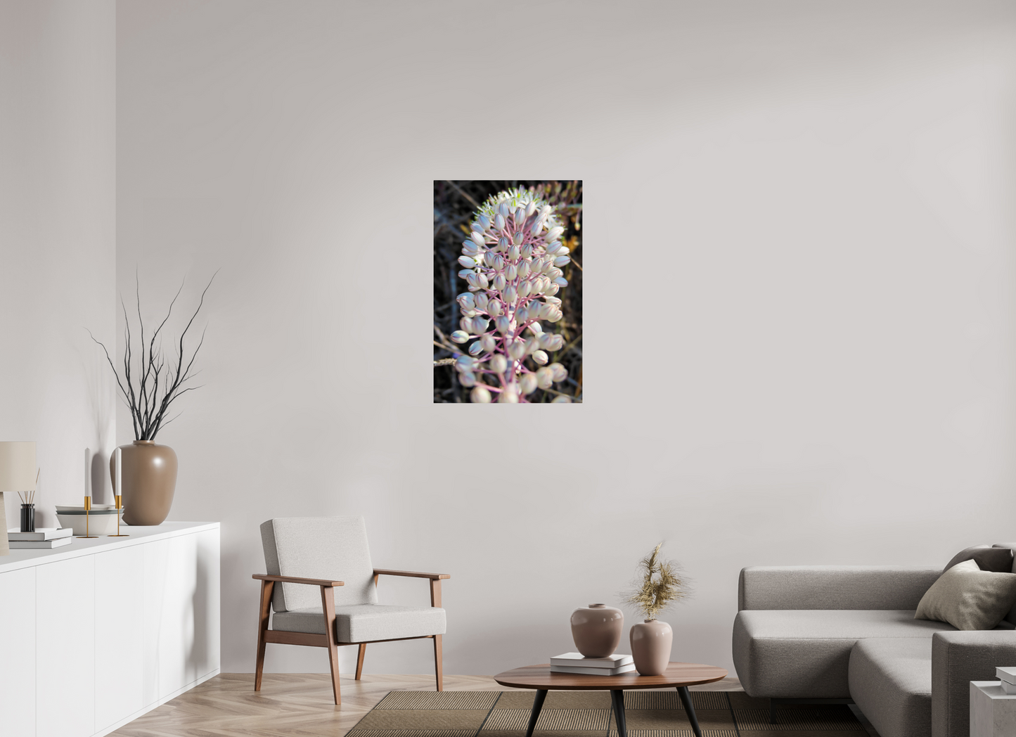 Sea Squill - photo print