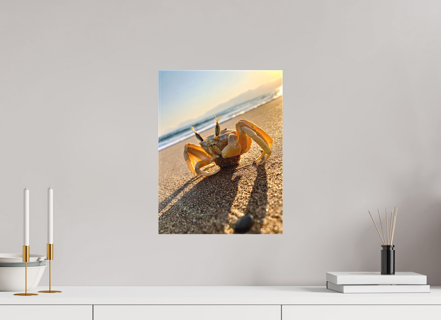 Crab - photo print