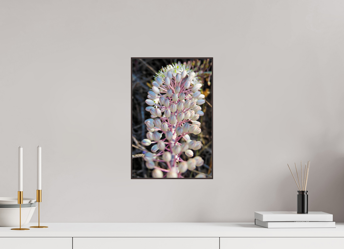 Discover the Resilient Beauty of the Coast: "Sea Squill" - photo print