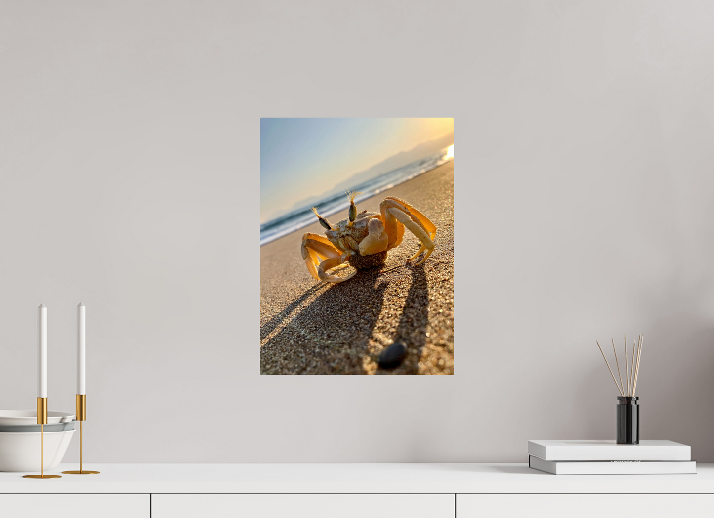 Crab - photo print