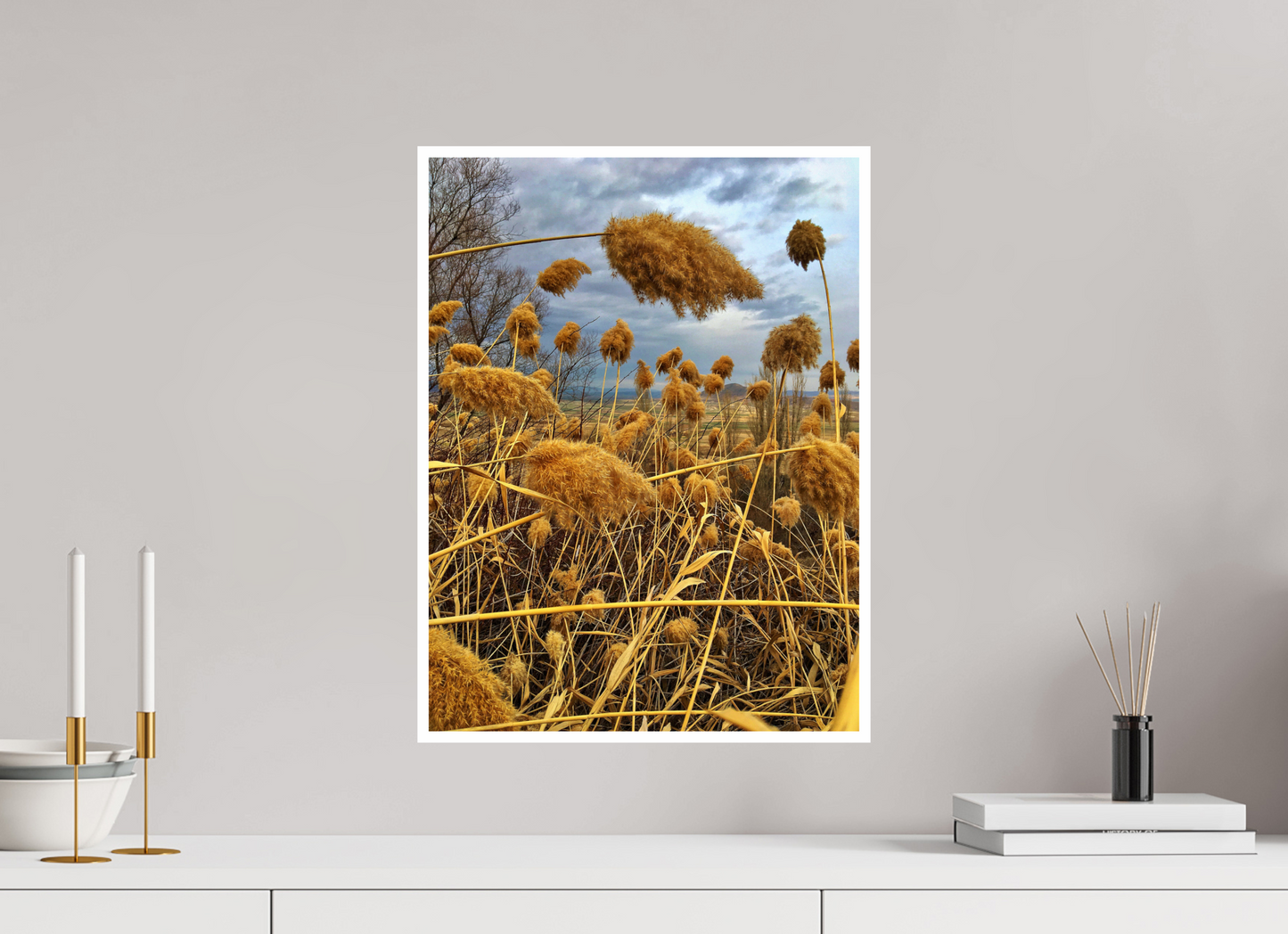 Bathe in the Warmth of Nature: "Golden Grass" - photo print