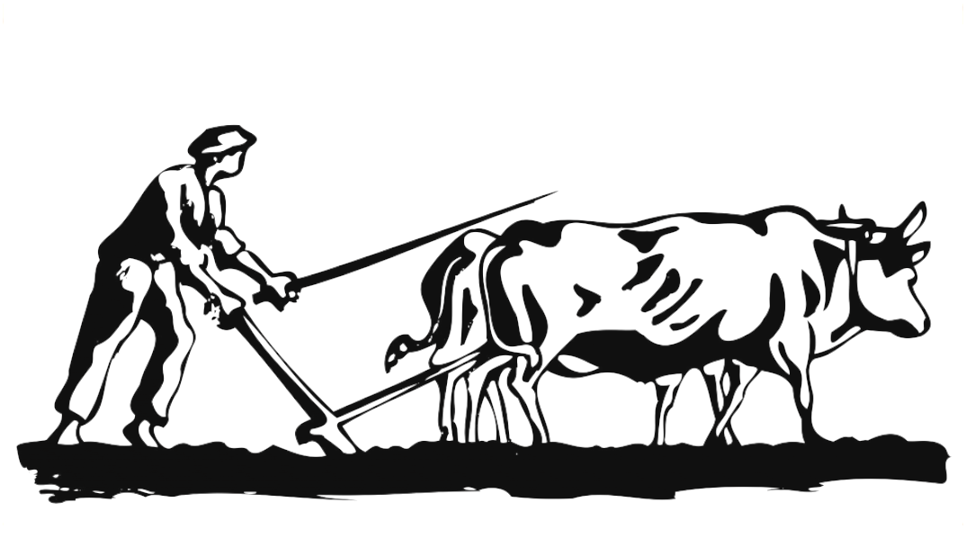 The Raw Effort - illustration print