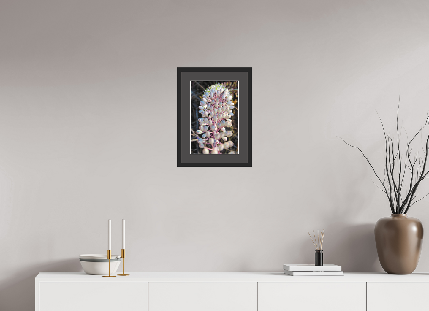 Sea Squill - photo print
