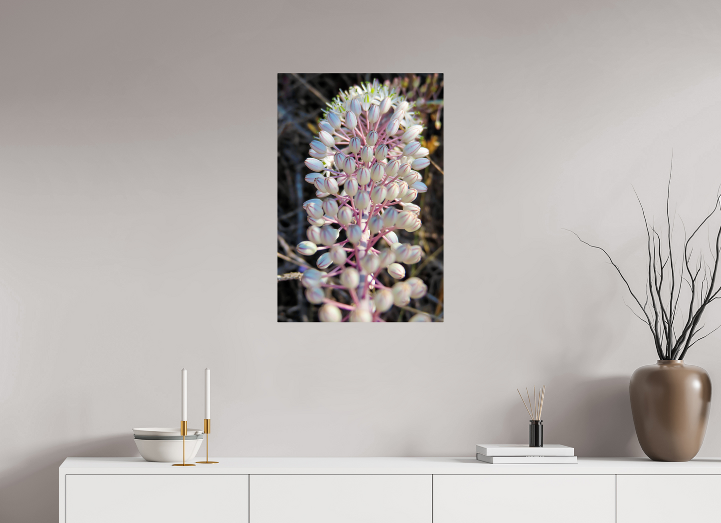 Sea Squill - photo print