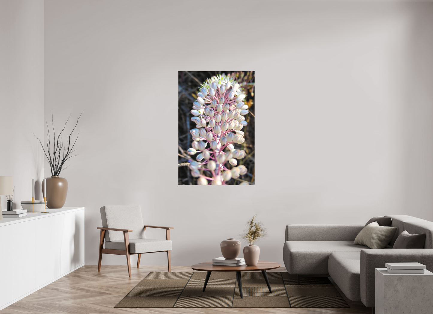 Sea Squill - photo print