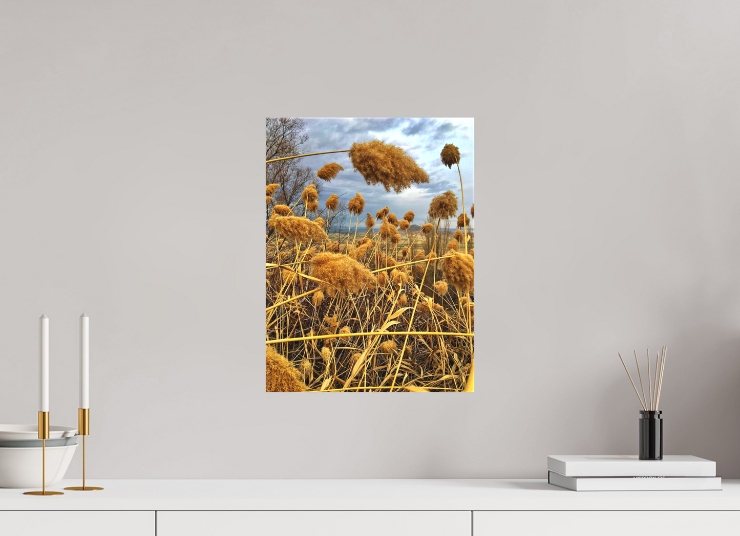 Golden Grass - photo print