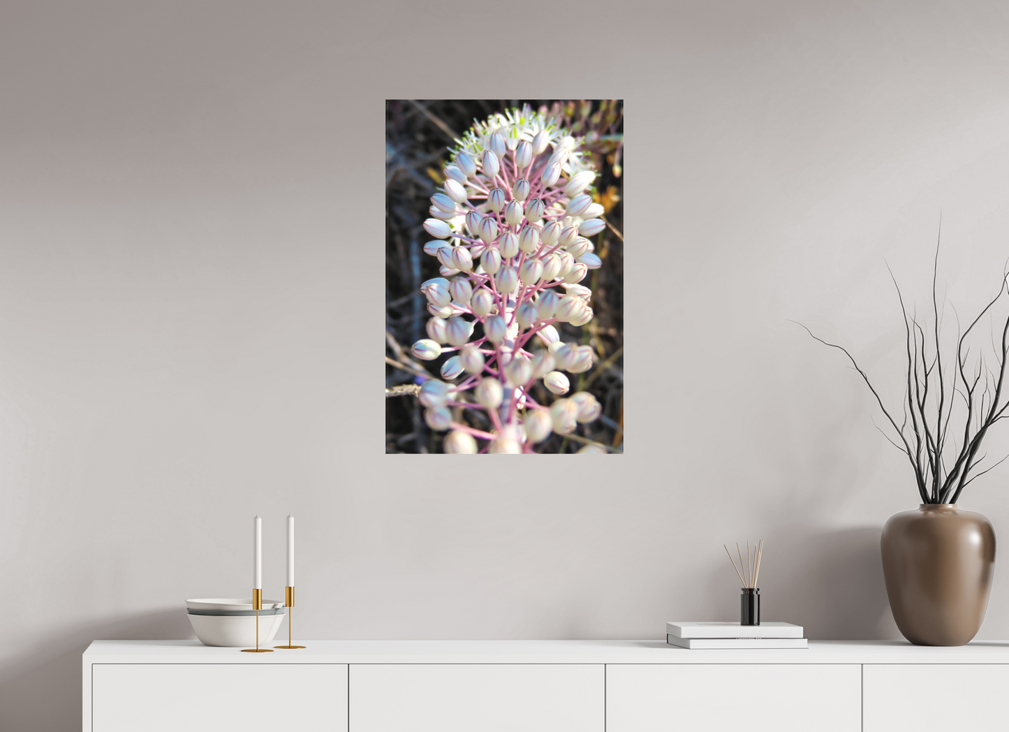 Sea Squill - photo print