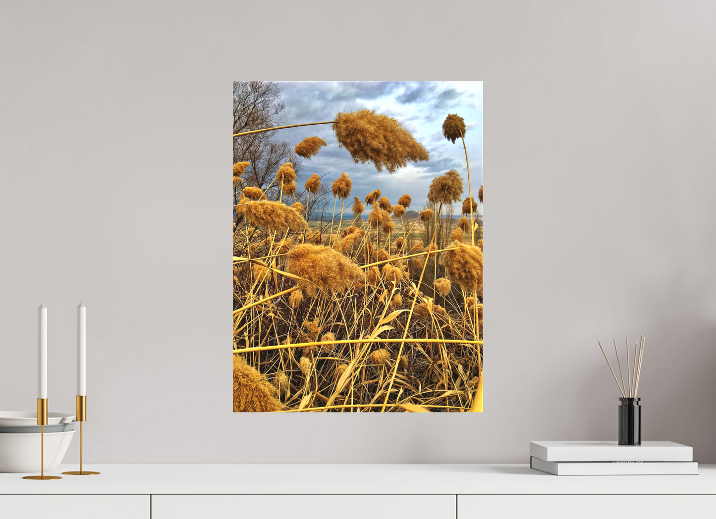 Golden Grass - photo print