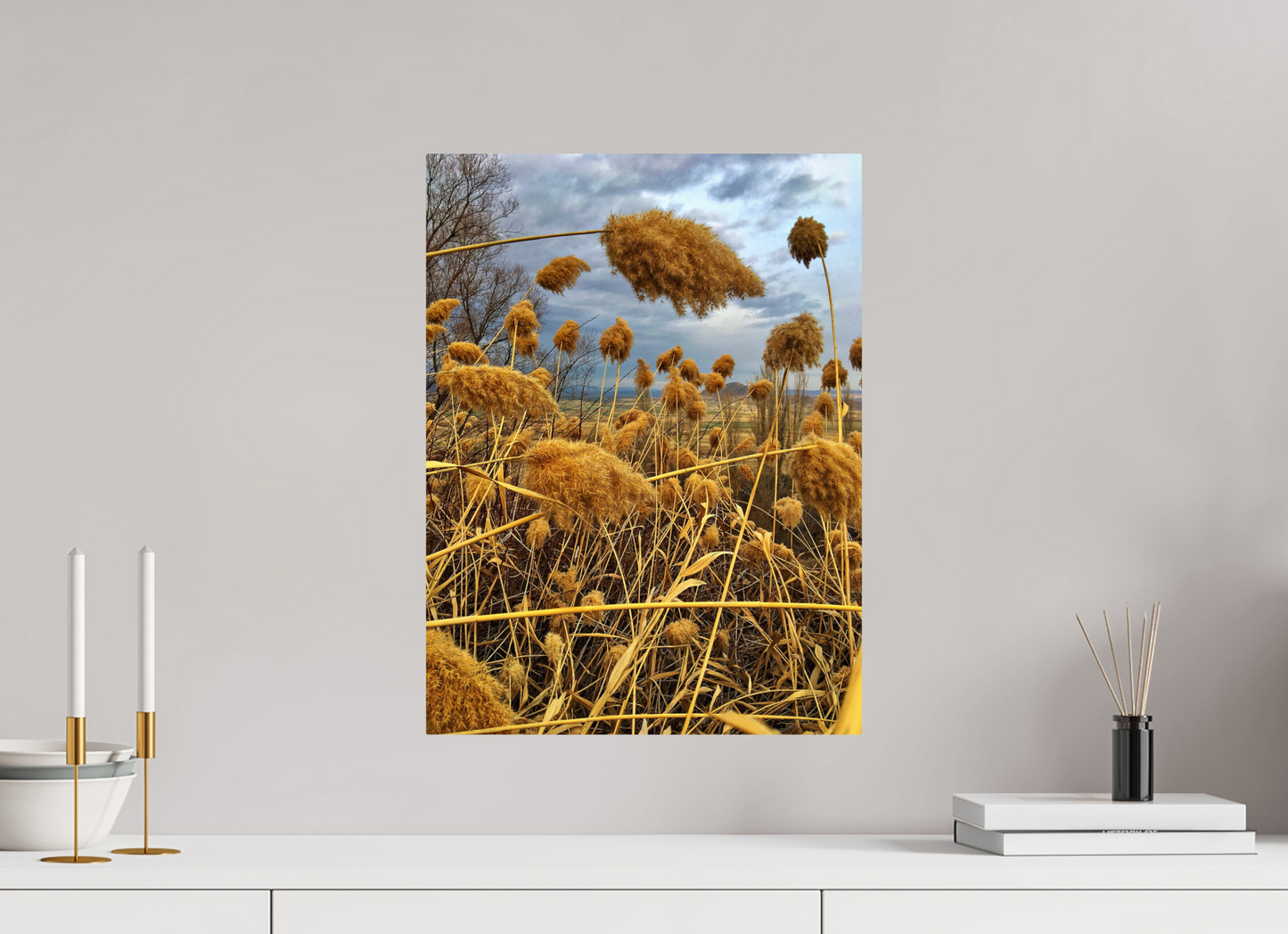 Golden Grass - photo print