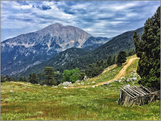 Follow the Path to Adventure: "The Mountain Trail" - photo print