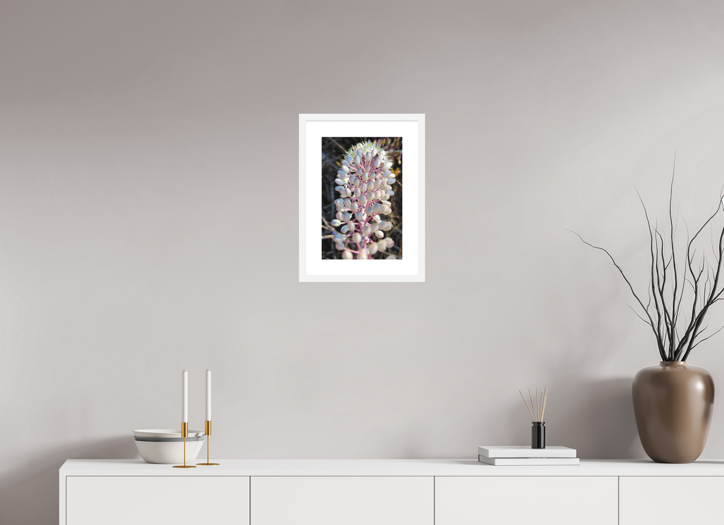 Sea Squill - photo print