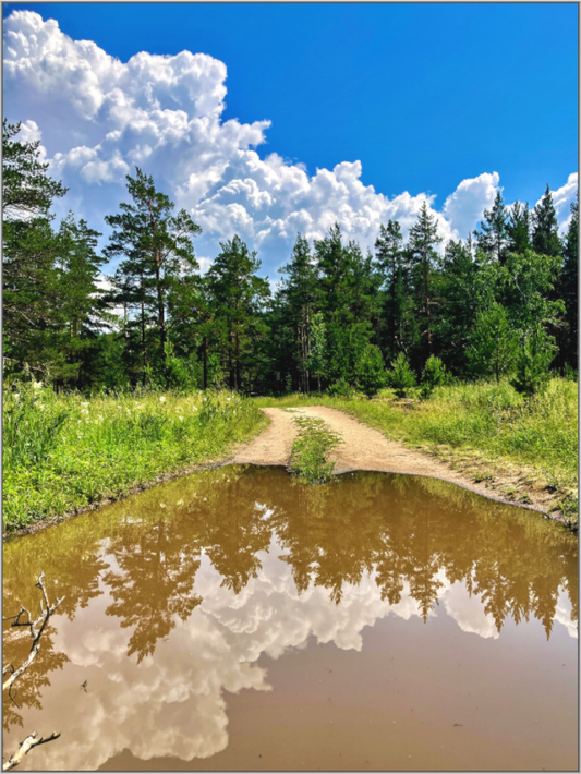 Walk the Line Between Earth and Sky: "Mirror Path" - photo print
