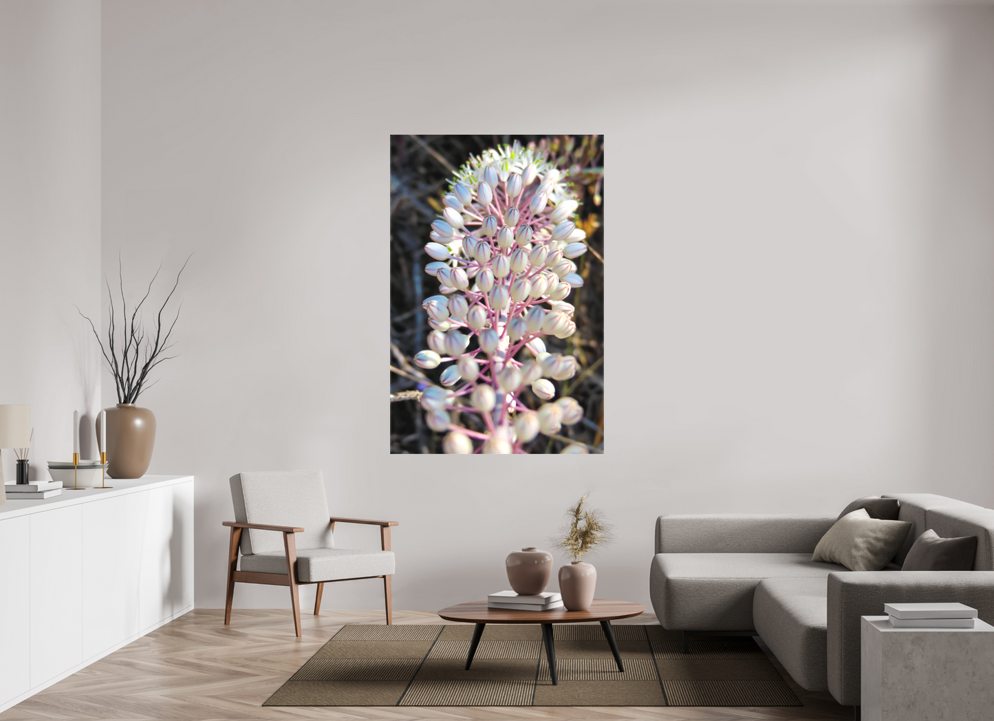 Sea Squill - photo print