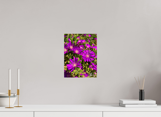 9 x 12″, ChromaLuxe HD Metal Print Behold the Fragile Beauty of Winter: "Hardy Ice Flower" - photo print