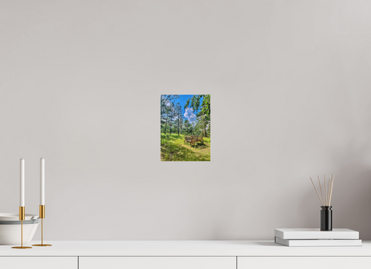 6 x 8″, Print for Indoors Photo print of "Wheels on Green" by Luvinans