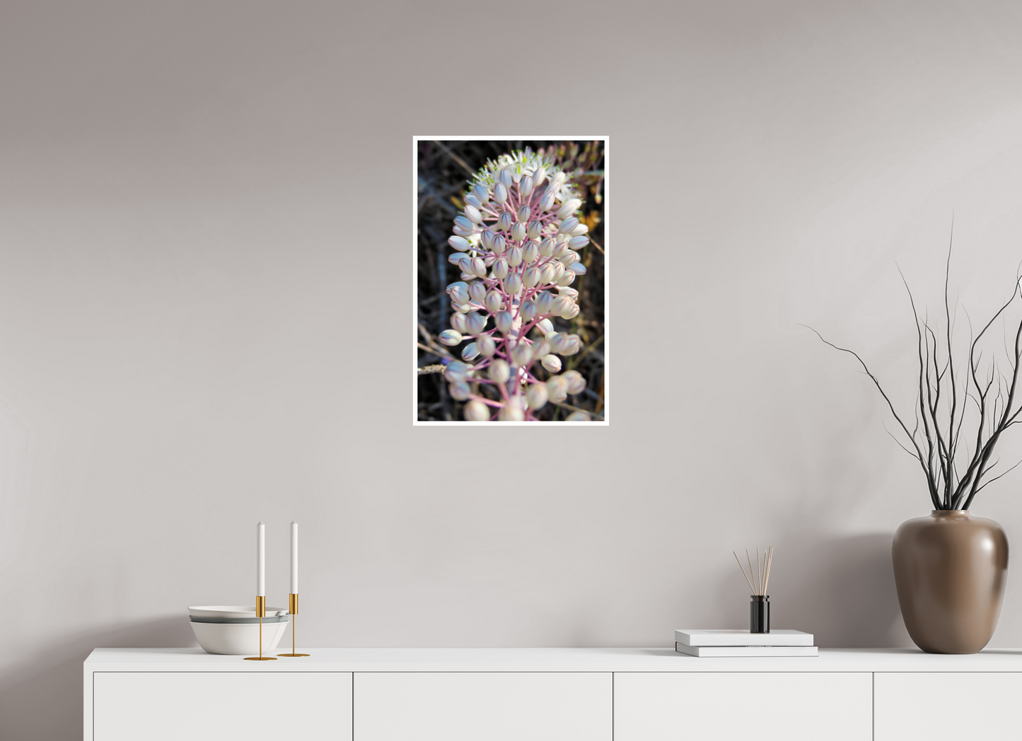 Discover the Resilient Beauty of the Coast: "Sea Squill" - photo print
