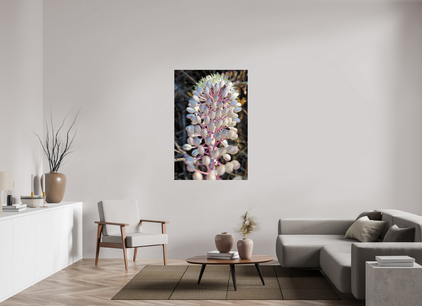 Sea Squill - photo print