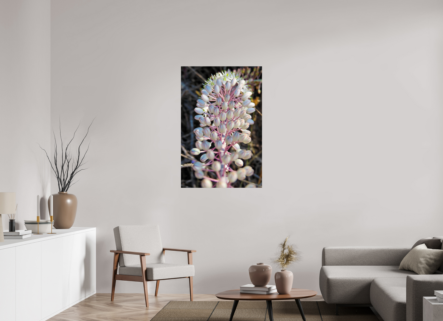 Sea Squill - photo print