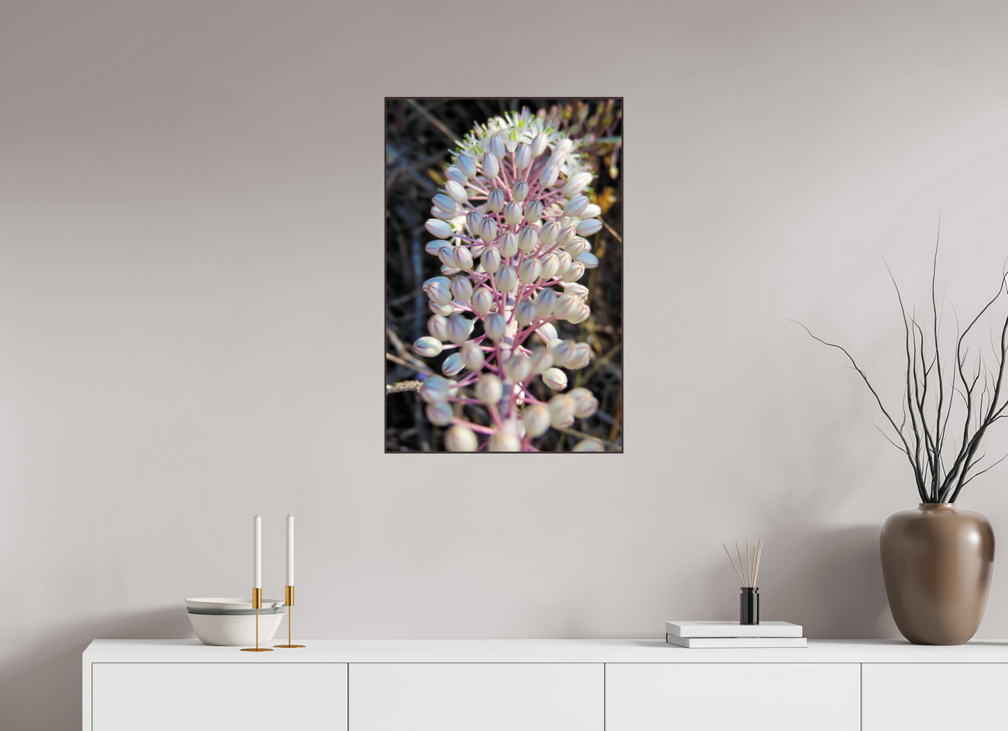 Discover the Resilient Beauty of the Coast: "Sea Squill" - photo print