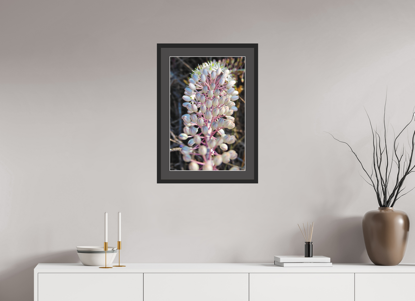 Sea Squill - photo print