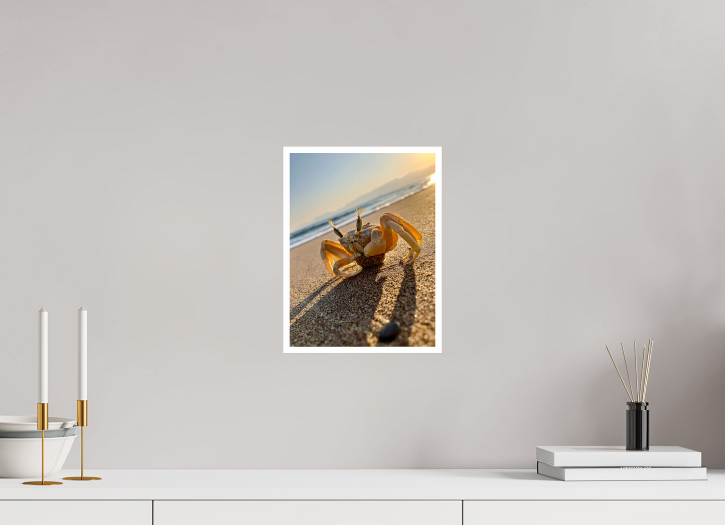 Explore the Intricate World of the Shore: "The Crab" - photo print