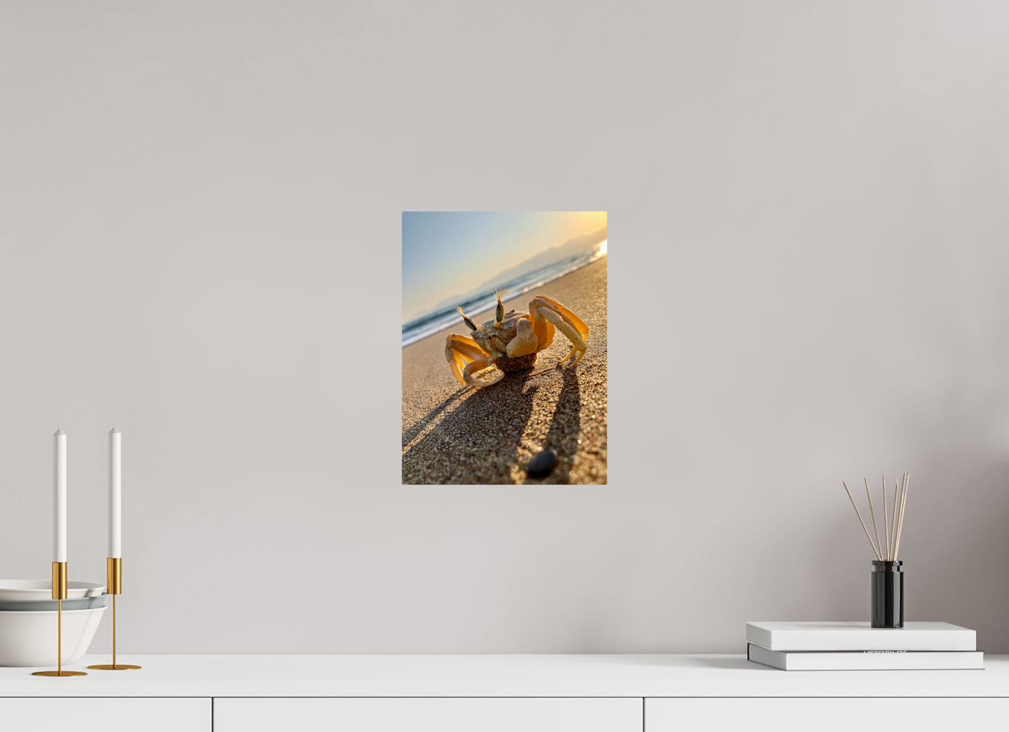 Crab - photo print