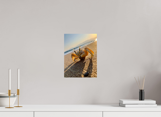 9 x 12″, ChromaLuxe HD Metal Print Explore the Intricate World of the Shore: "The Crab" - photo print