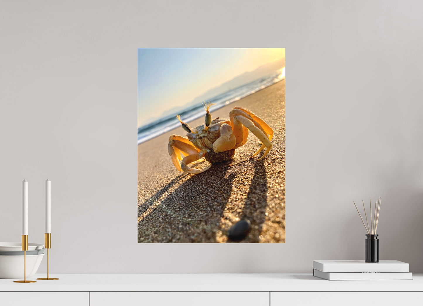 Crab - photo print