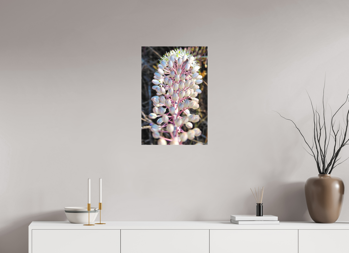 Sea Squill - photo print