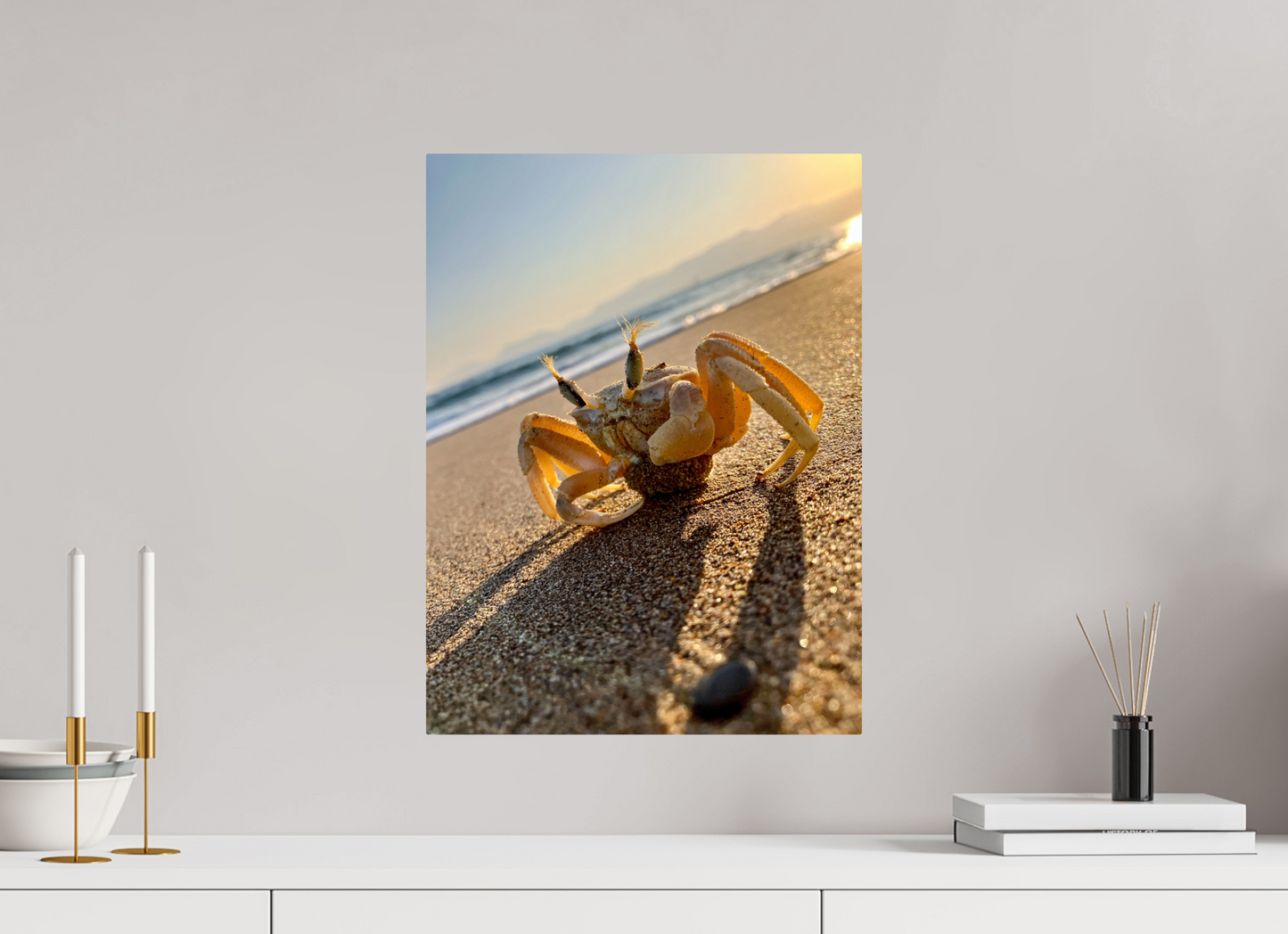 Crab - photo print