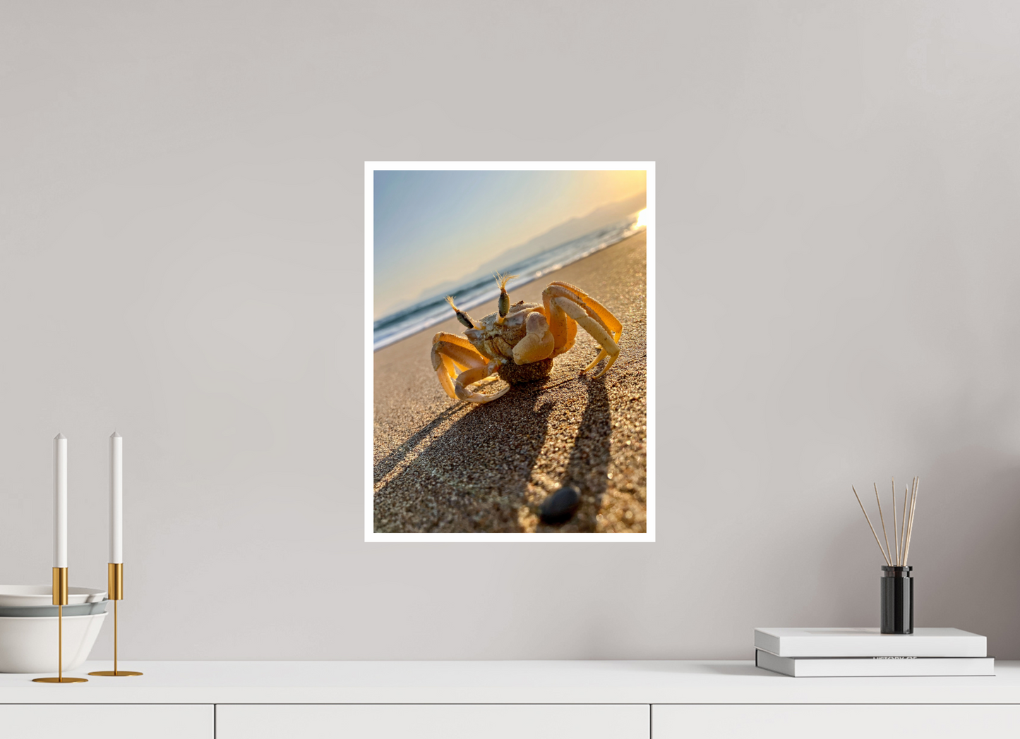 Explore the Intricate World of the Shore: "The Crab" - photo print