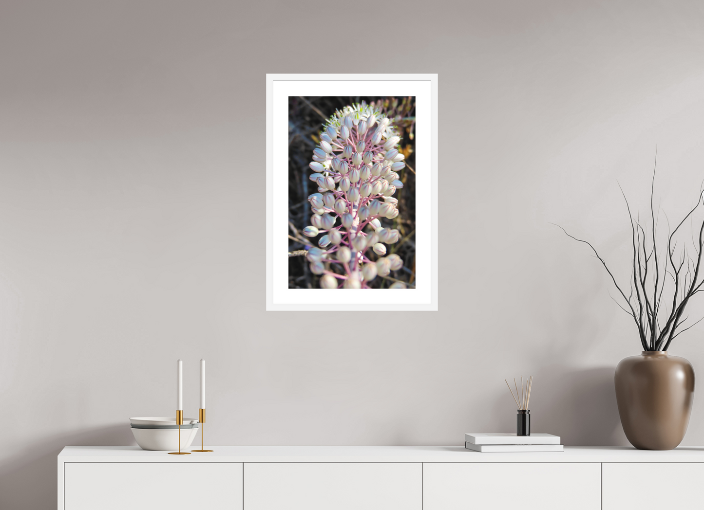 Sea Squill - photo print