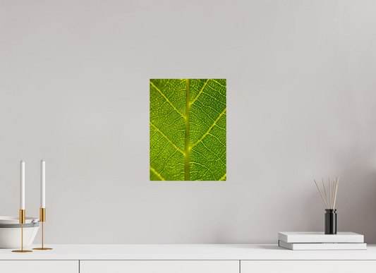 9 x 12″, ChromaLuxe HD Metal Print Discover the Beauty in Simplicity: "The Leaf" - photo print