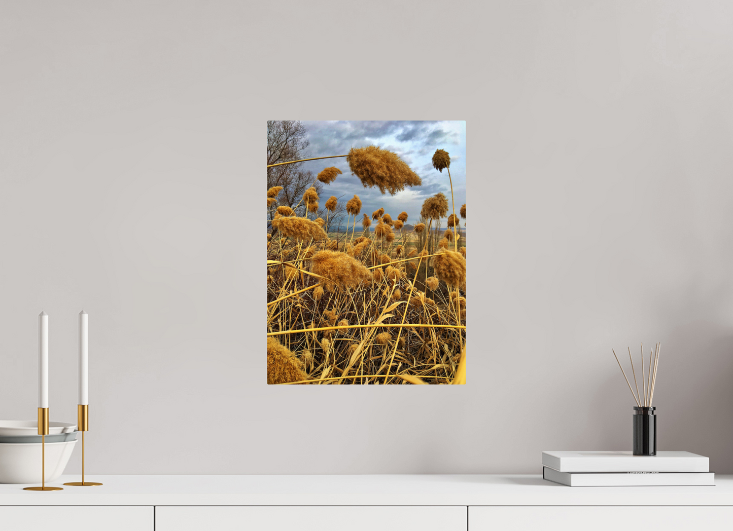 Golden Grass - photo print