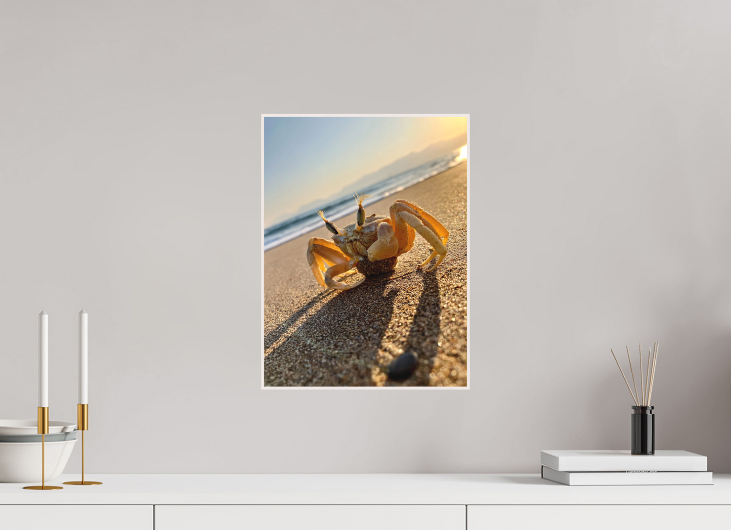 Explore the Intricate World of the Shore: "The Crab" - photo print