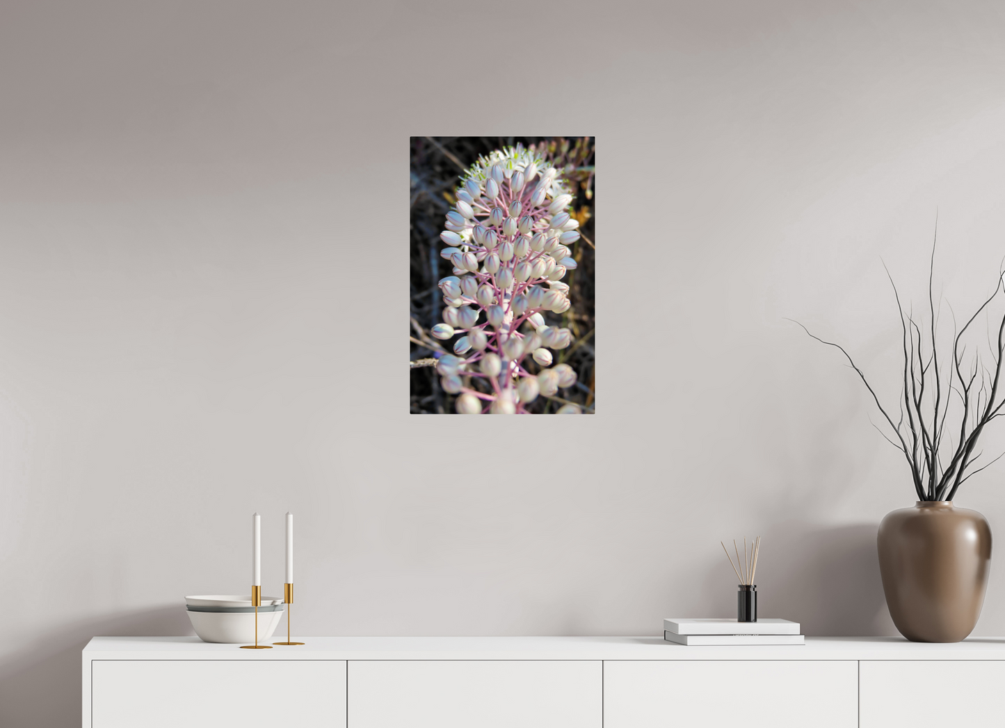 Sea Squill - photo print