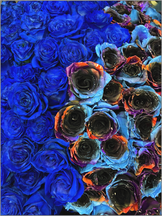 Indulge in the Dramatic Beauty of "Heavy Roses" - photo print