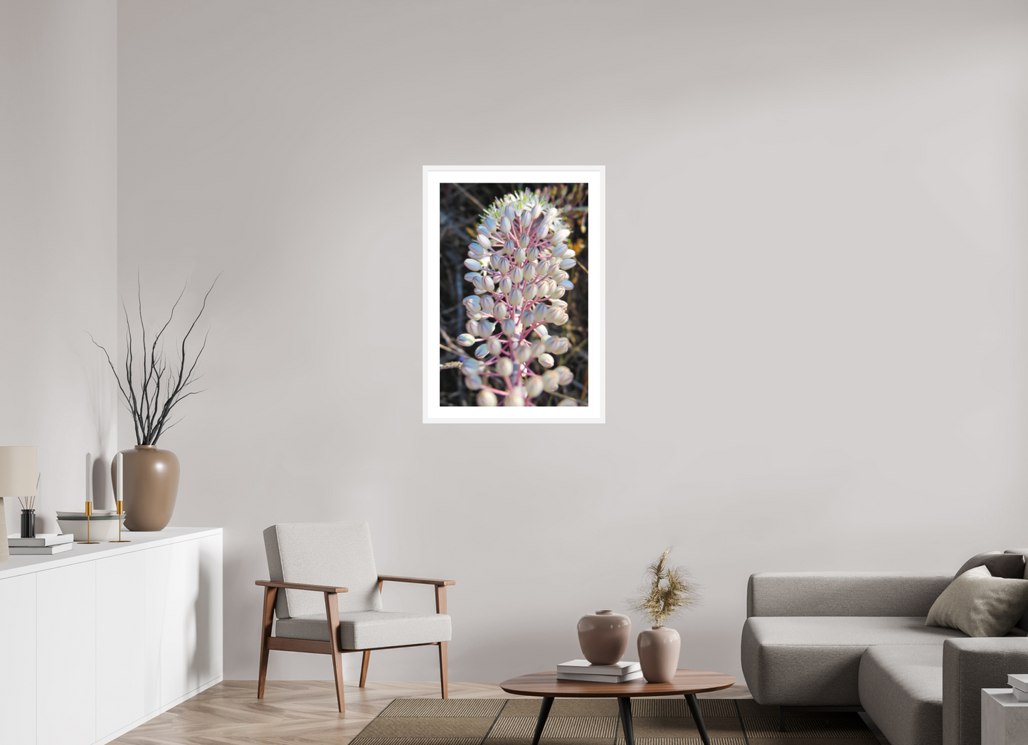 Sea Squill - photo print