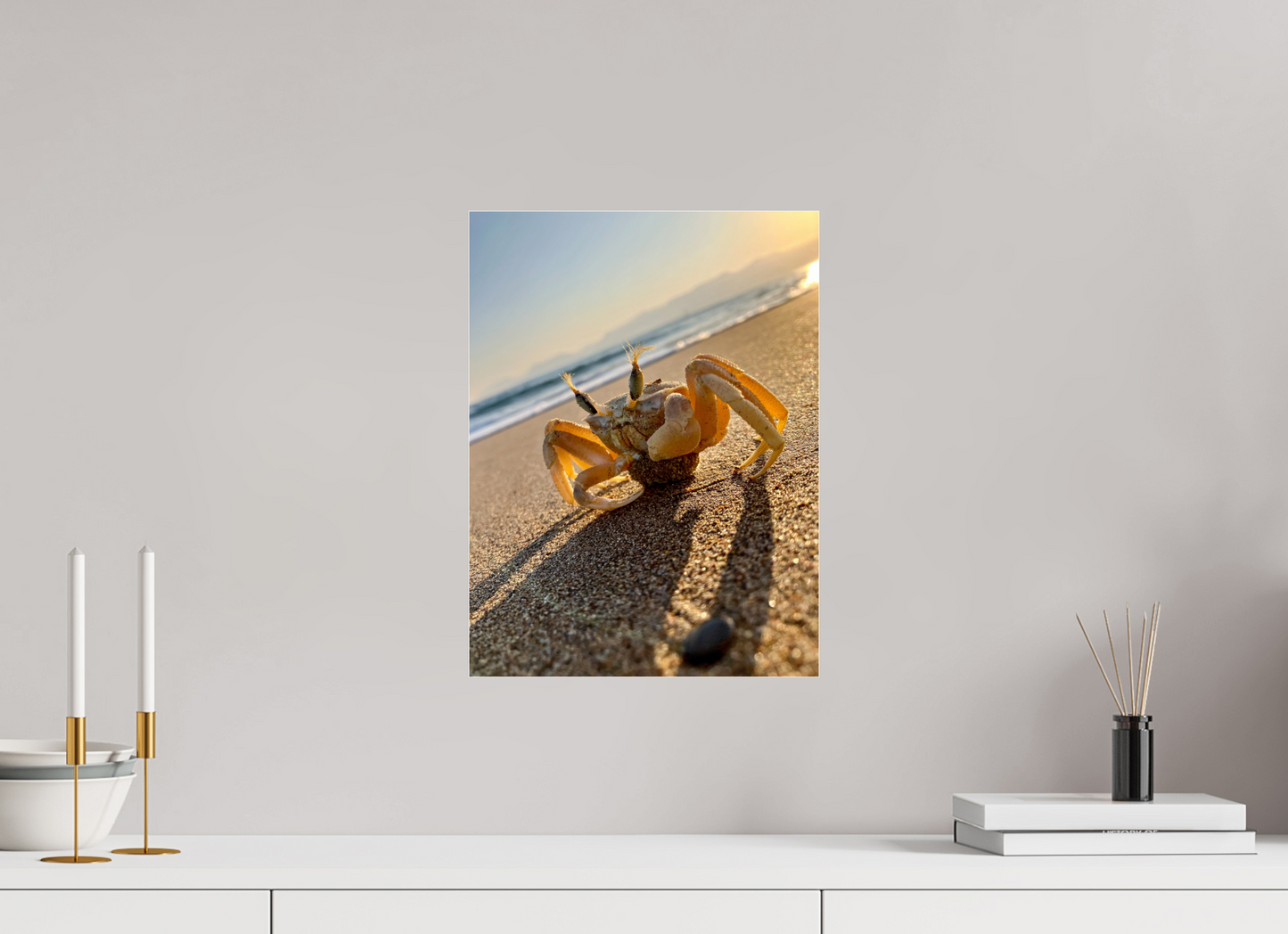 Crab - photo print