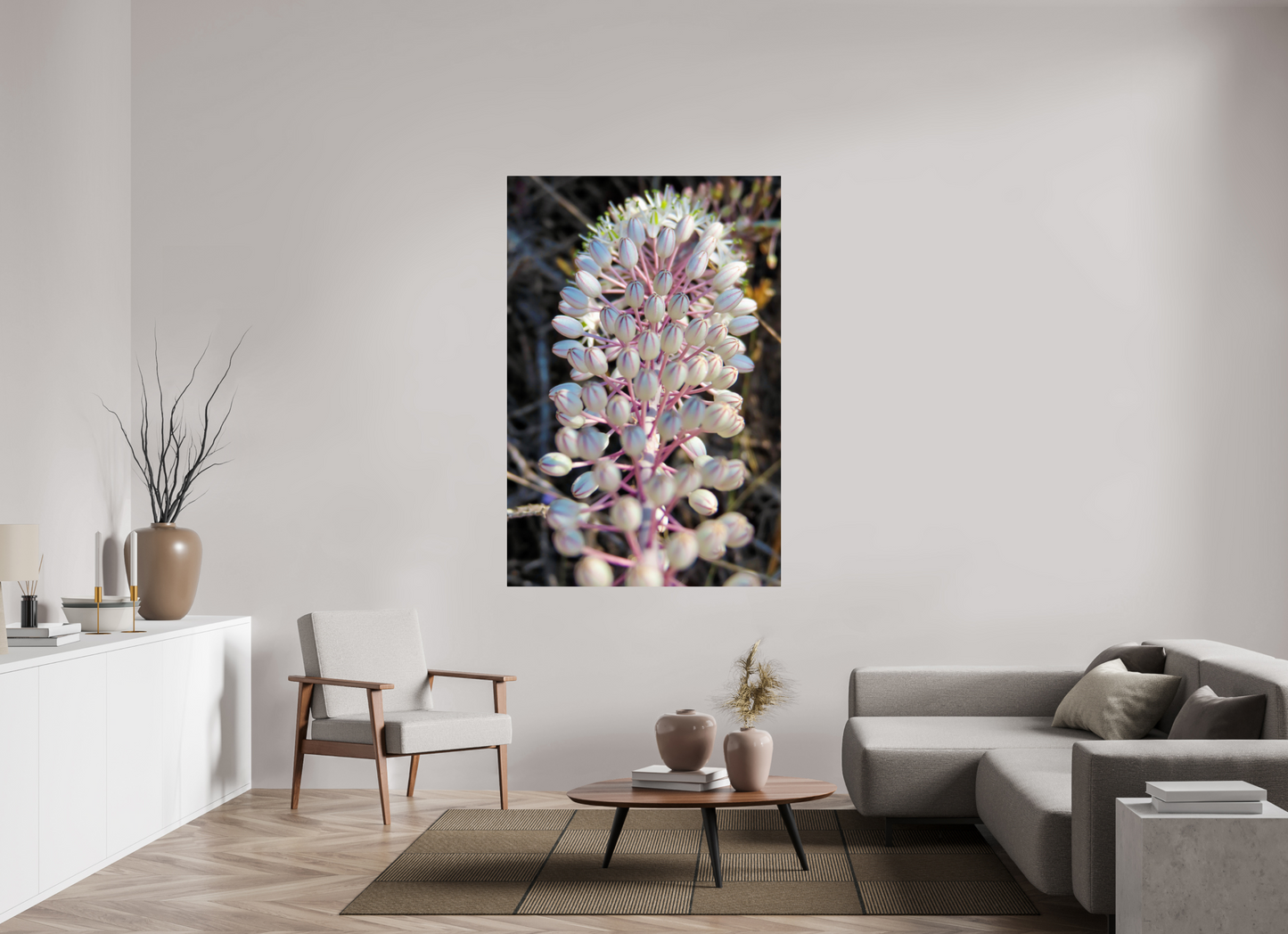 Sea Squill - photo print