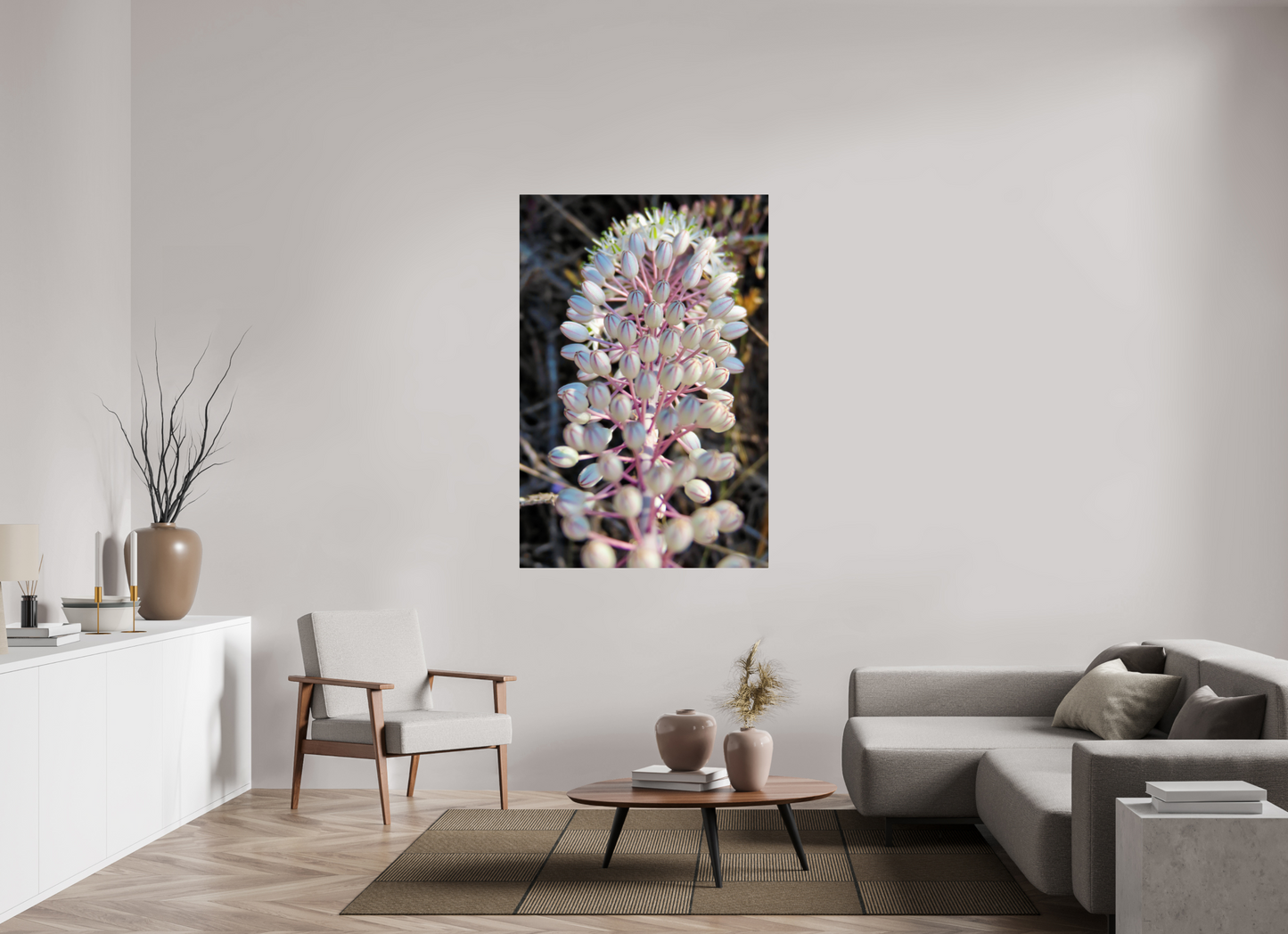 Sea Squill - photo print
