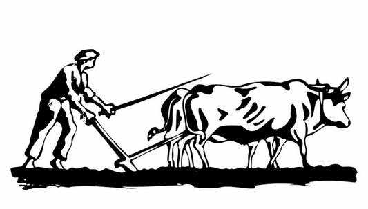 Main image A Homage to Diligence: "The Raw Effort" - illustration print