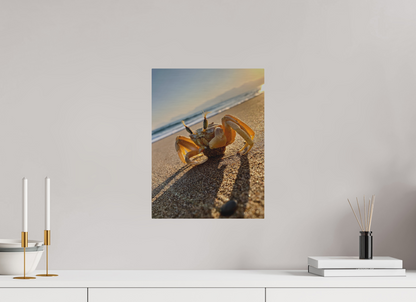 12 x 16″, Print for Outdoors Photo print of "The Crab" by Luvinans